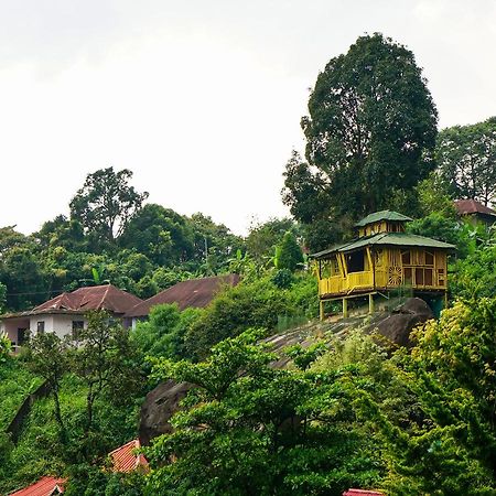 Oyo 10262 Hotel Munnar Rock מראה חיצוני תמונה